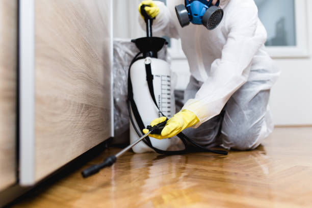 Best Pest Inspection Near Me  in Livingston, AL