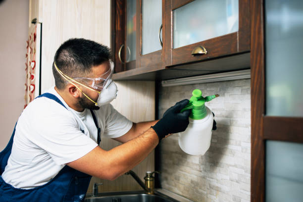 Best Commercial Pest Control Services  in Livingston, AL
