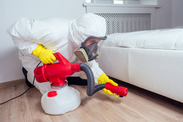 Best Pest Control Near Me in Livingston, AL