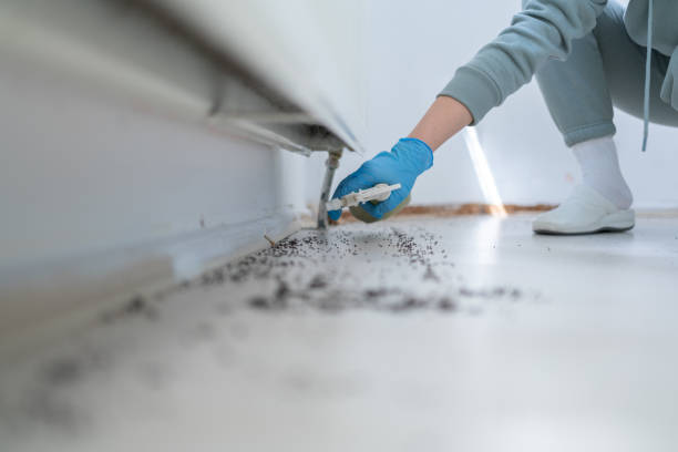 Trusted Livingston, AL Pest Control Experts